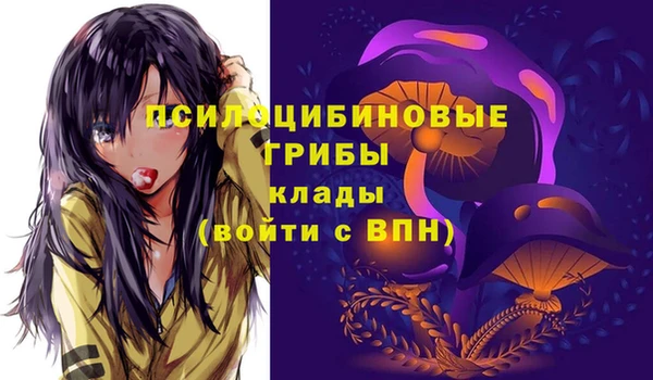 Альфа ПВП Елабуга
