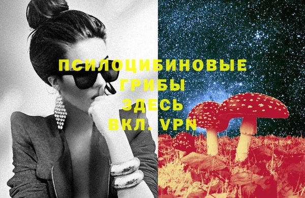 Альфа ПВП Елабуга